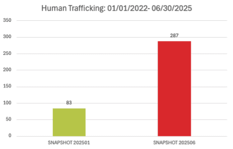 Chart showing Human Trafficking case snapshots
